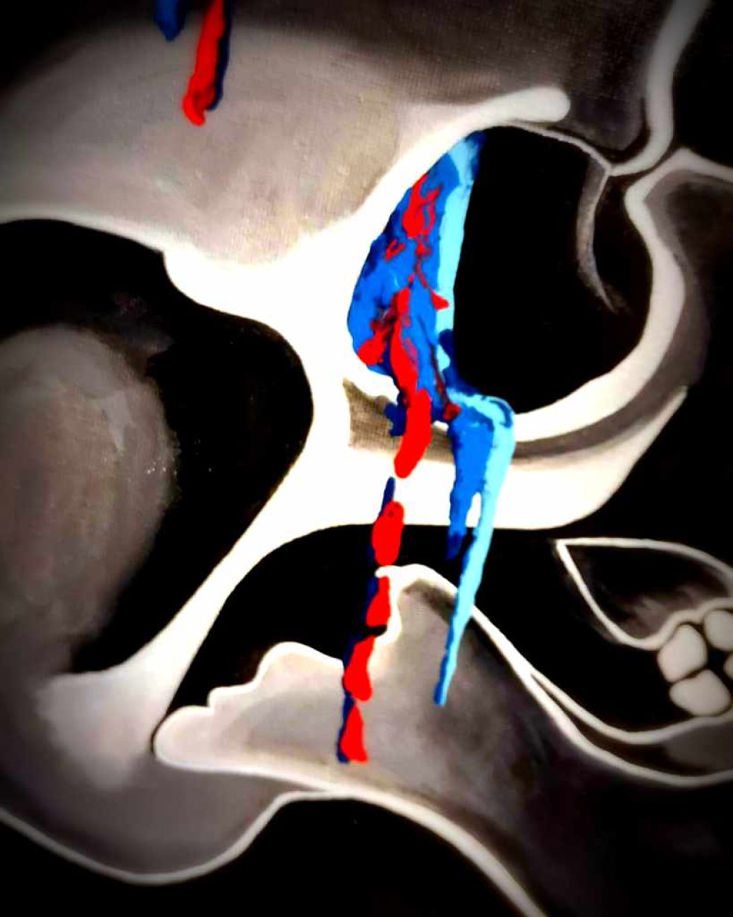 462650461_1318569339314755_8169259138480531308_n